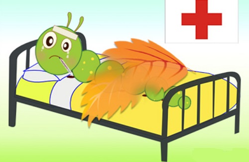 Hình ảnh mã số 446 Hình ảnh mã số 446,đuổi hình bắt chữ,bắt chữ đuổi hình