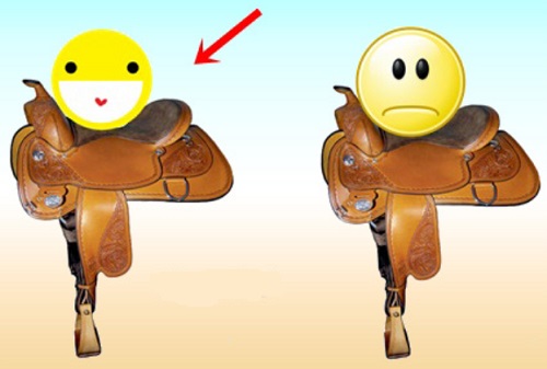 Hình ảnh mã số 502,đuổi hình bắt chữ,bắt chữ đuổi hình