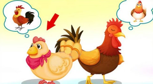Hình ảnh mã số 519 Hình ảnh mã số 519,đuổi hình bắt chữ,bắt chữ đuổi hình