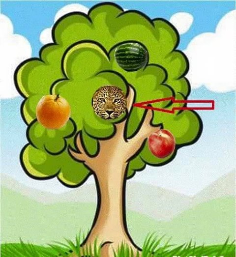 Hình ảnh mã số 775,đuổi hình bắt chữ,bắt chữ đuổi hình