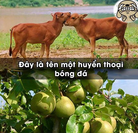 Hình ảnh mã số 854,đuổi hình bắt chữ,bắt chữ đuổi hình