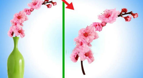 Hình ảnh mã số 896,đuổi hình bắt chữ,bắt chữ đuổi hình