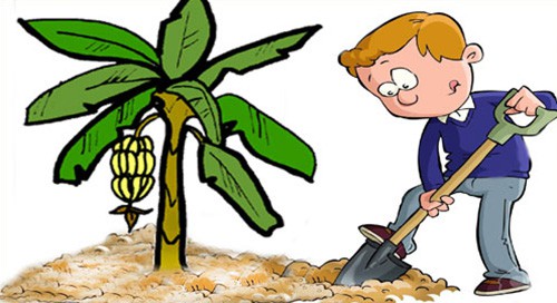 Hình ảnh mã số 904,đuổi hình bắt chữ,bắt chữ đuổi hình