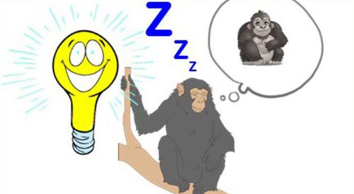 Hình ảnh mã số 909,đuổi hình bắt chữ,bắt chữ đuổi hình