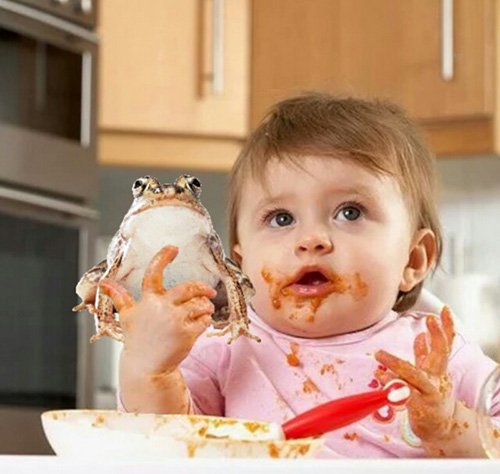 Hình ảnh mã số 950,đuổi hình bắt chữ,bắt chữ đuổi hình
