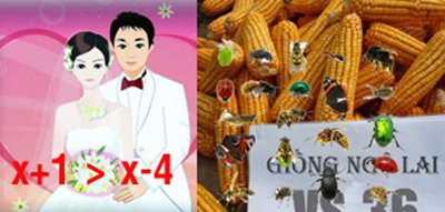 Hình ảnh mã số 953,đuổi hình bắt chữ,bắt chữ đuổi hình