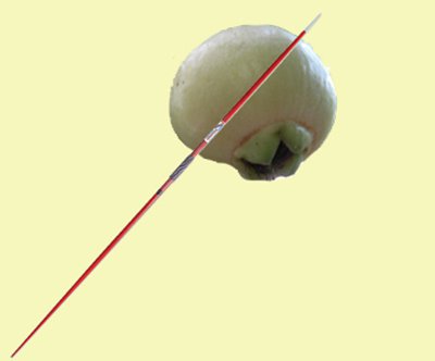 Hình ảnh mã số 1001,đuổi hình bắt chữ,bắt chữ đuổi hình