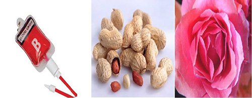 Hình ảnh mã số 1048,đuổi hình bắt chữ,bắt chữ đuổi hình