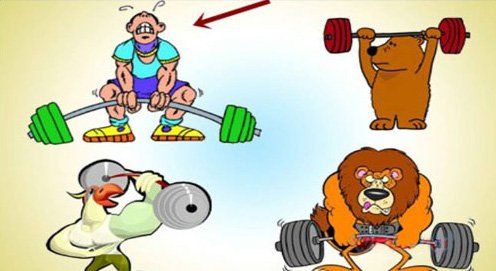 Hình ảnh mã số 1061,đuổi hình bắt chữ,bắt chữ đuổi hình