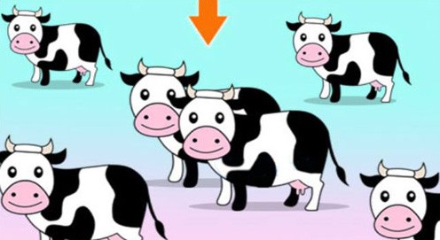 Hình ảnh mã số 1104,đuổi hình bắt chữ,bắt chữ đuổi hình