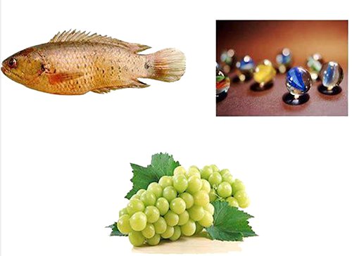 Hình ảnh mã số 1107 - Đây là tên một cầu thủ bóng đá,đuổi hình bắt chữ,bắt chữ đuổi hình