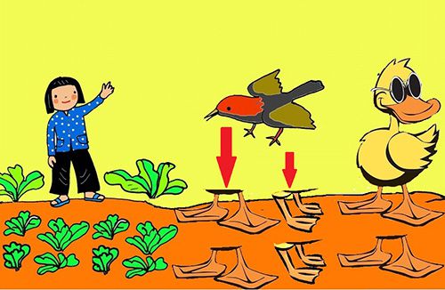 Hình ảnh mã số 1199,đuổi hình bắt chữ,bắt chữ đuổi hình