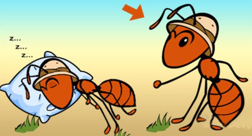Hình ảnh mã số 1249,đuổi hình bắt chữ,bắt chữ đuổi hình