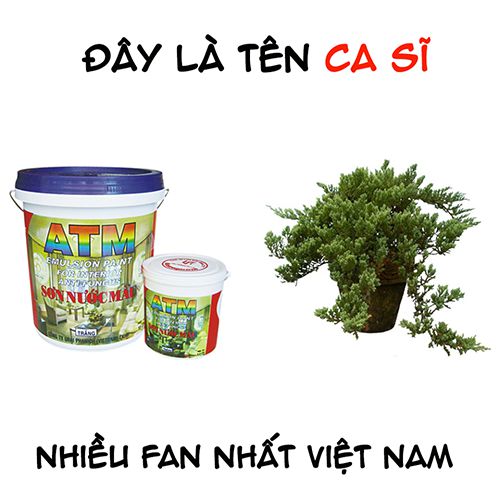 Hình ảnh mã số 1266,đuổi hình bắt chữ,bắt chữ đuổi hình
