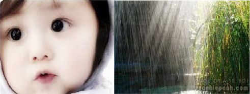 Hình ảnh mã số 1429 - Đây là tên 1 bài hát?,đuổi hình bắt chữ,bắt chữ đuổi hình