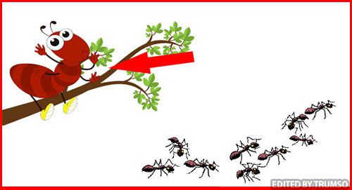 Hình ảnh mã số 1432,đuổi hình bắt chữ,bắt chữ đuổi hình