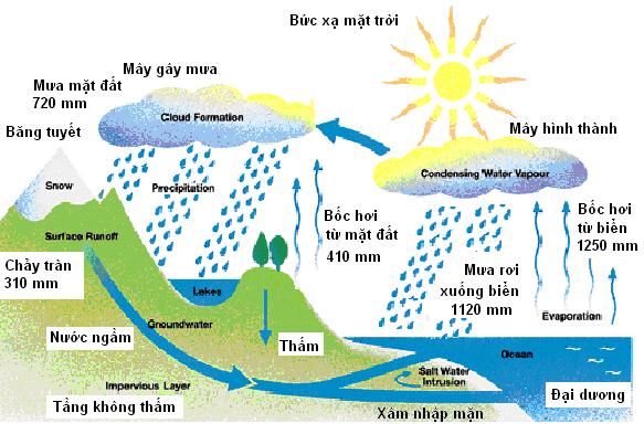 Tổng hợp 87 hình về làm mô hình nước  NEC