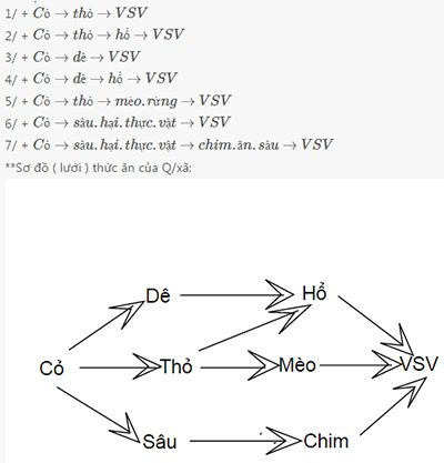 Vẽ một lưới thức ăn có từ 3 - 4 chuỗi thức ăn - Sinh học Lớp 9 ...