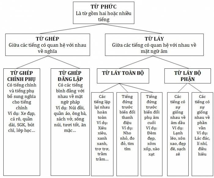 Sơ đồ tư duy từ ghép chính phụ - Ngữ văn Lớp 7 - Bài tập Ngữ văn Lớp 7 ...