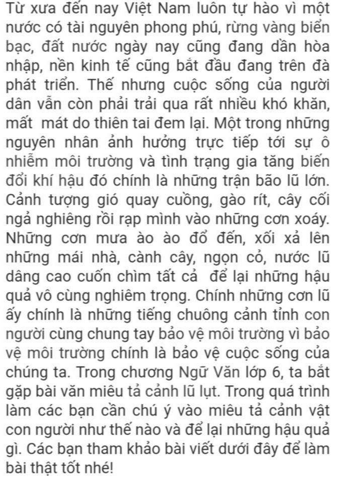 Viết Đoạn Văn Khoảng 15 Dòng, Miêu Tả Về Cảnh Lũ Lụt Ở Quê Hương Miền Trung,  Có Sử Dụng Từ Láy Hãy Gạch Lên Những Từ Đó - Ngữ Văn Lớp