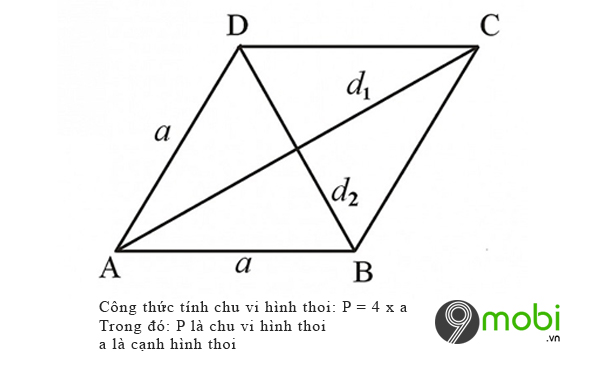 Hình chữ nhật hình thoi hình bình hành hình thang cân  Lý thuyết Toán lớp  6 chi tiết Kết nối tri thức