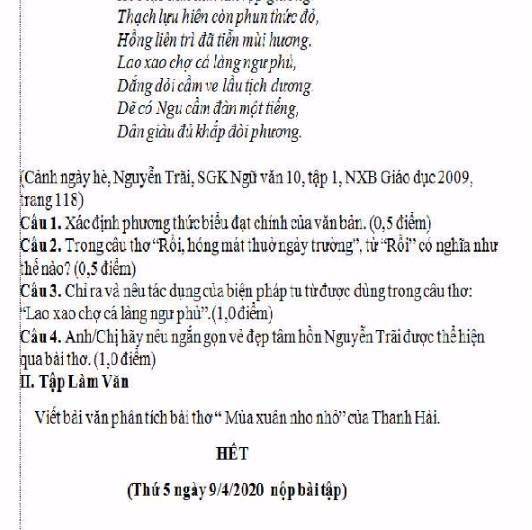 Cảnh Ngày Hè Của Nguyễn Trãi, Xác Định Phương Thức Biểu Đạt Chính Của Văn  Bản - Ngữ Văn Lớp 9 - Bài Tập Ngữ Văn Lớp 9 - Giải Bài Tập