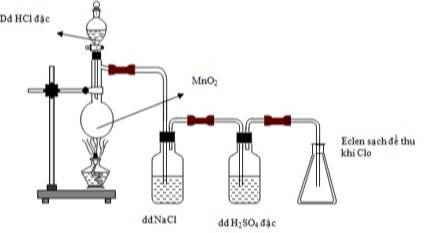 Cho biết clo có những ứng dụng nào trong thực tế  Tech12h