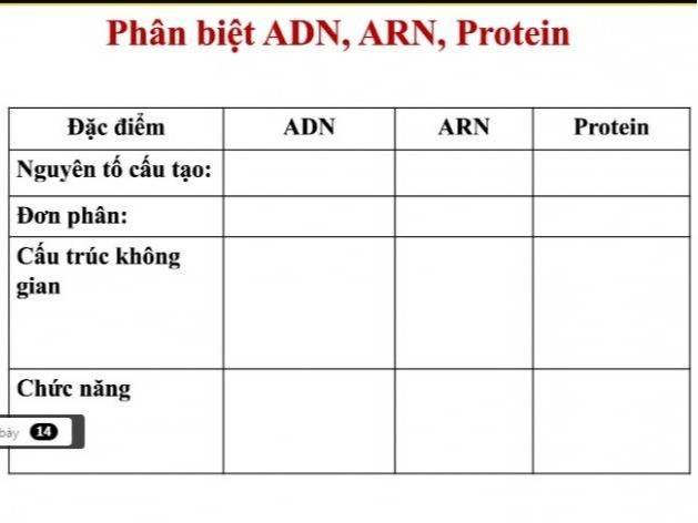 Phân Biệt Adn; Arn; Protein - Sinh Học Lớp 9 - Bài Tập Sinh Học Lớp 9 -  Giải Bài Tập Sinh Học Lớp 9 | Lazi.Vn - Cộng Đồng Tri Thức & Giáo Dục