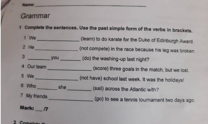 Complete The Sentences Use The Past Simple Form Of The Verbs In Brackets Tiếng Anh Lớp 12 