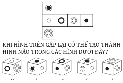 Khi hình trên gập lại có thể tạo thành hình nào trong các hình dưới đây