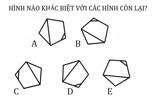 Hình nào khác biệt với các hình còn lại?