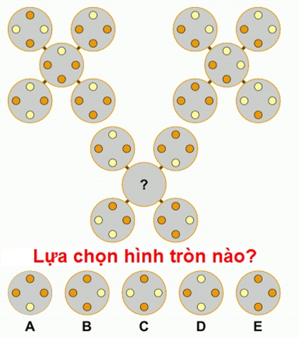 Lựa chọn hình nào A, B, C, D, E?