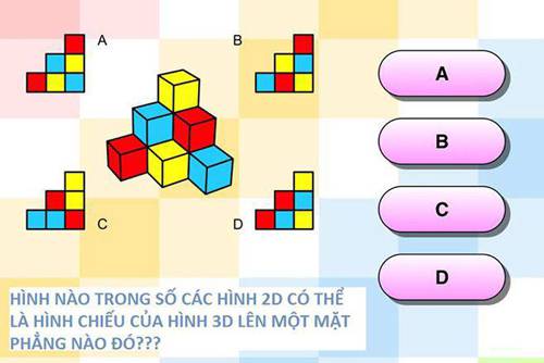 Hình nào trong số các hình 2D có thể là hình chiếu của hình 3D lên một mặt phẳng nào đó?