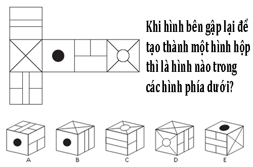 Khi hình bên gập lại để tạo thành một hình hộp thì là hình nào trong các hình phía dưới?