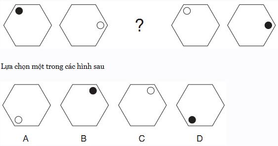 Hình nào ở vị trí dấu hỏi: A, B, C, D?