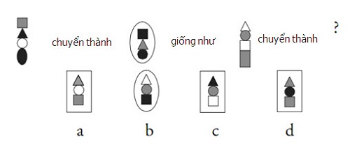 Hình chuyển thành sẽ giống như hình A, B, C, D?