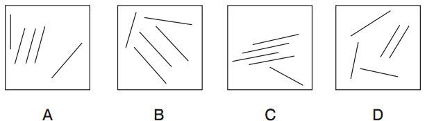 Hình nào khác tính chất với các hình còn lại: A, B, C, D?