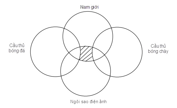 Phần hình gạch chéo mô tả gì?