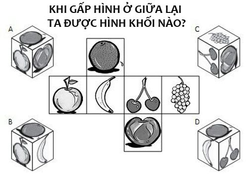 Khi gấp hình ở giữa lại ta được hình khối nào?