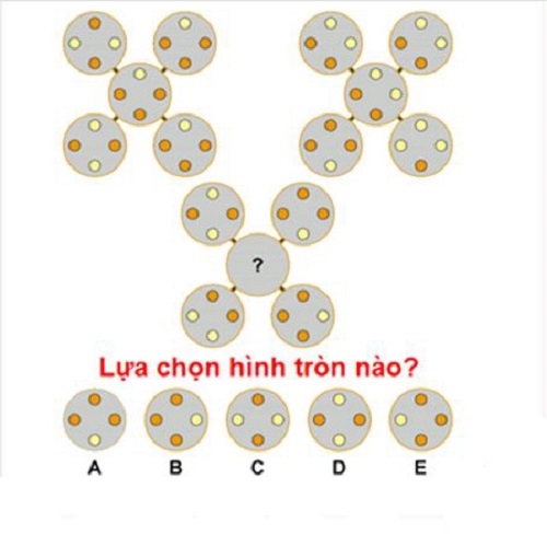 Lựa chọn hình tròn phù hợp trong dấu ?