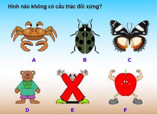 Hình nào không có cấu trúc đối xứng?