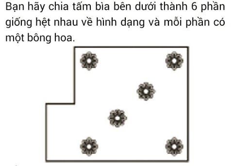 Bạn hãy chia tấm bìa thành 6 phần giống hệt nhau về hình dạng và mỗi phần có 1 bông hoa