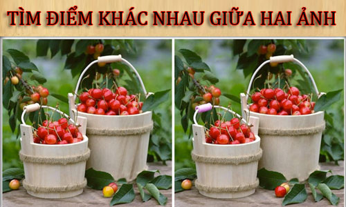 Tìm điểm khác nhau giữa hai ảnh