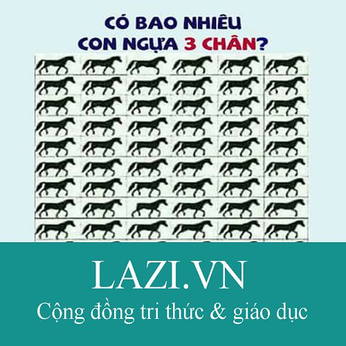 Có bao nhiêu con ngựa 3 chân?