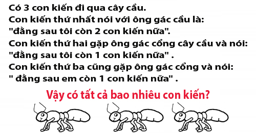 Có tất cả bao nhiêu con kiến?