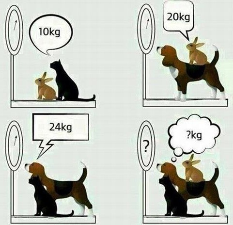 Thỏ + Mèo = 10kg, Chó + Thỏ = 20kg, Chó + Mèo = 24kg, Chó + Thỏ + Mèo = ? kg