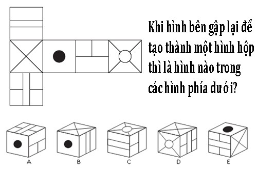 Khi gấp hình trên lại thành một hình hộp thì được hình nào bên dưới?