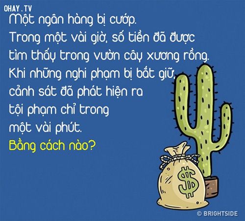 Một ngân hàng bị cướp. Trong một vài giờ, số tiền đã được tìm thấy trong vườn cây xương rồng