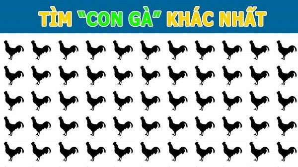 Tìm con gà khác biệt?