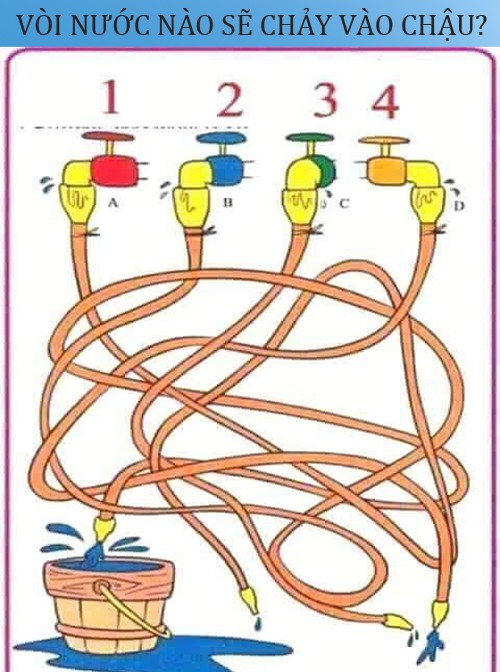 Vòi nước nào sẽ chảy vào thùng?